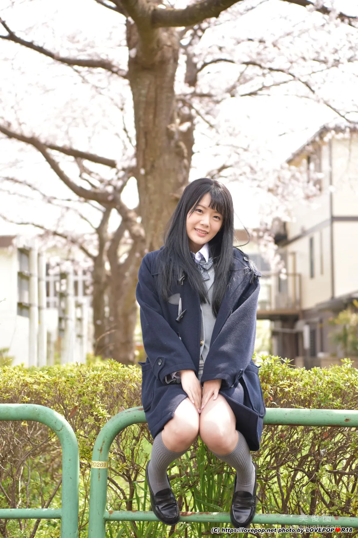 [LOVEPOP] 柳井める Meru Yanai Photoset 07 寫真集 23