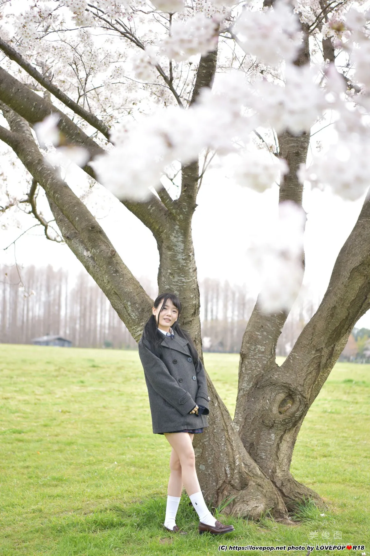 [LOVEPOP] Meru Yanai 柳井める Photoset 08 寫真集 53
