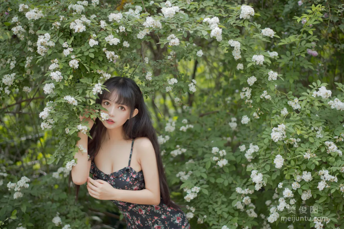 大眼萌妹黑貓貓OvO 《薔薇1》 寫真集 5