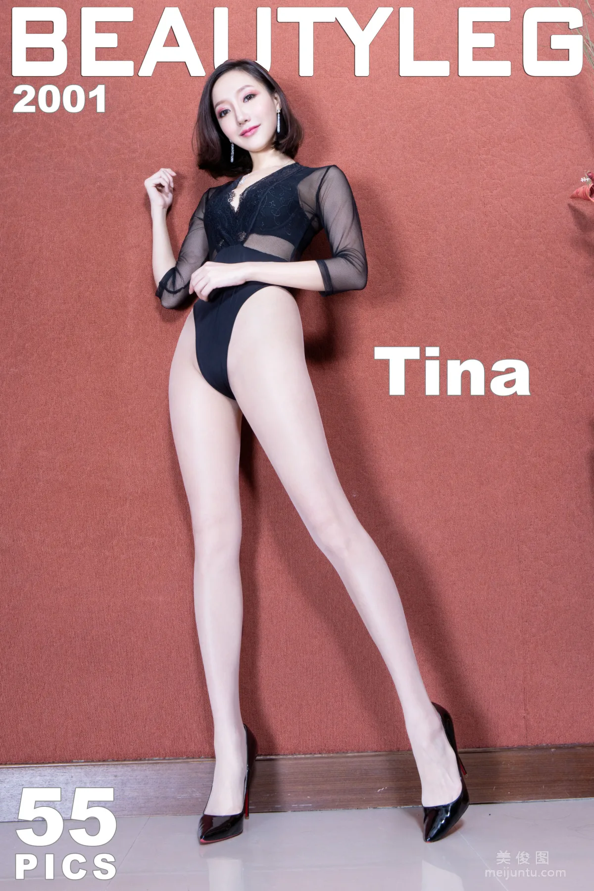[Beautyleg] No.2001 Tina - 透視情趣高叉美腿寫真 1