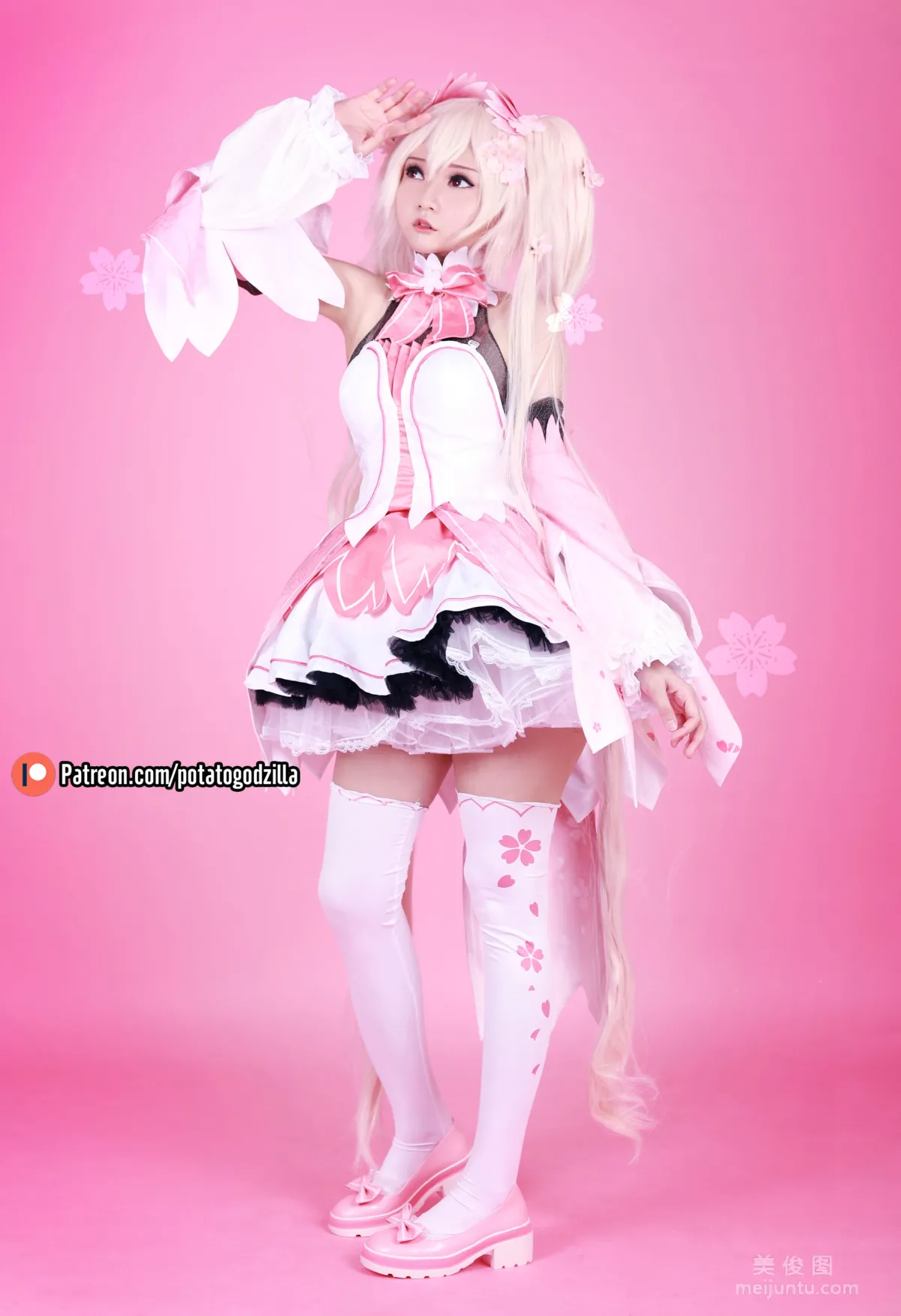 Coser小姐姐Potato Godzilla - Sakura Miku 套圖 5