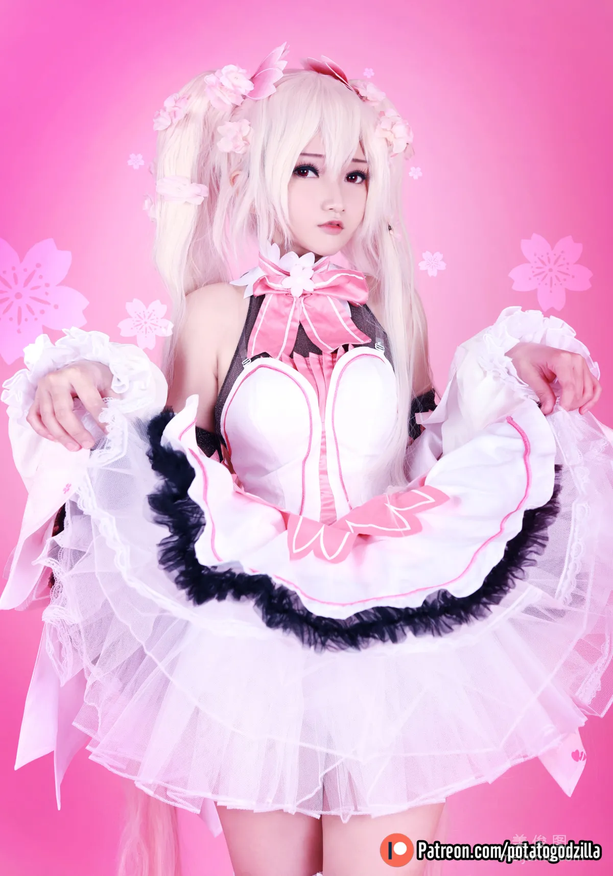 Coser小姐姐Potato Godzilla - Sakura Miku 套圖 8