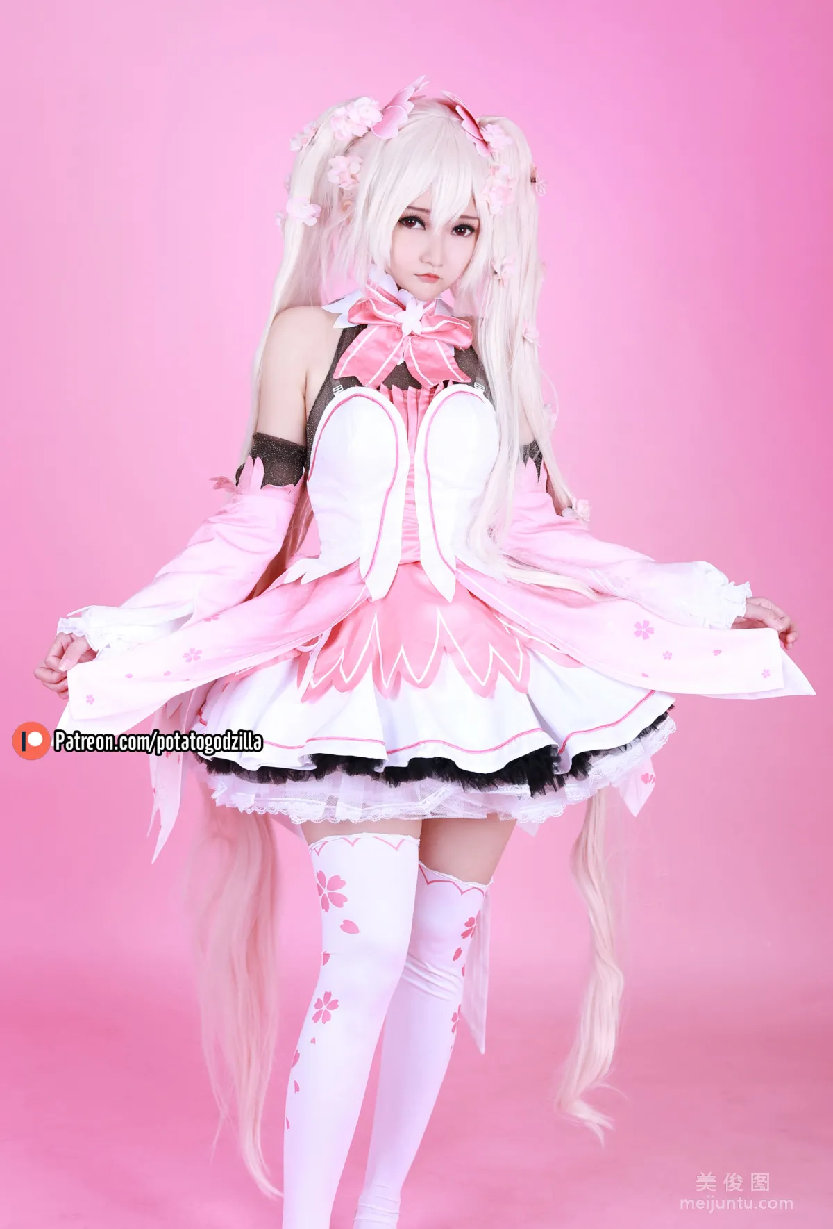 Coser小姐姐Potato Godzilla - Sakura Miku 套圖 2