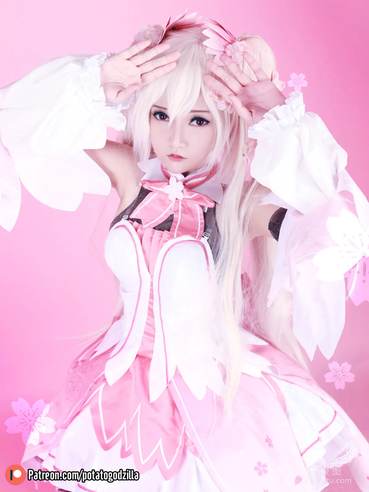 Coser小姐姐Potato Godzilla - Sakura Miku 套圖 7