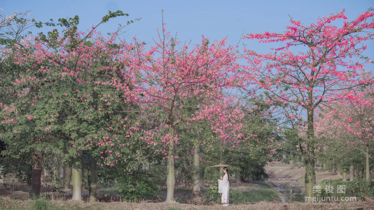 [COS福利] 桜桃喵 - 溫柔之漢服桃花 1
