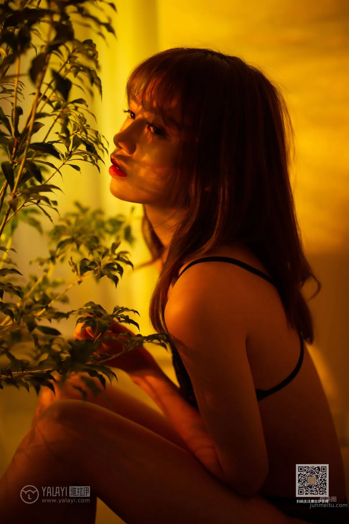 [YALAYI雅拉伊] 2020.01.05 Vol.511 未突破防線 麗雅 57