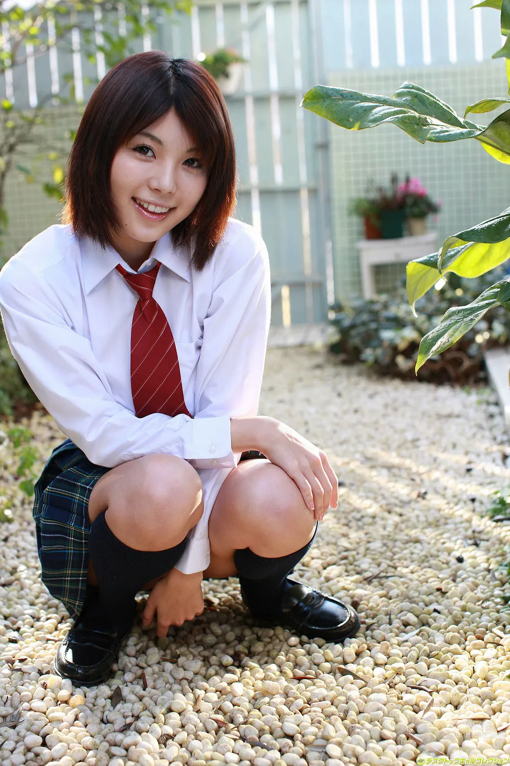 春咲和津實(春咲あずみ)-[DGC]套圖No.752 4