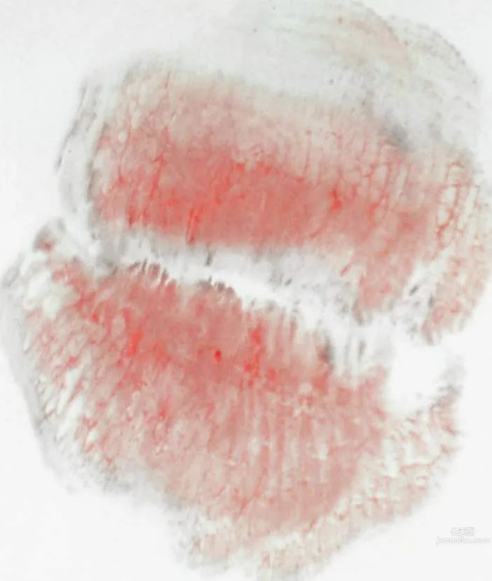矢吹春奈(阿部真裡)- [PB寫真集]1st 寫真集《脫》 26
