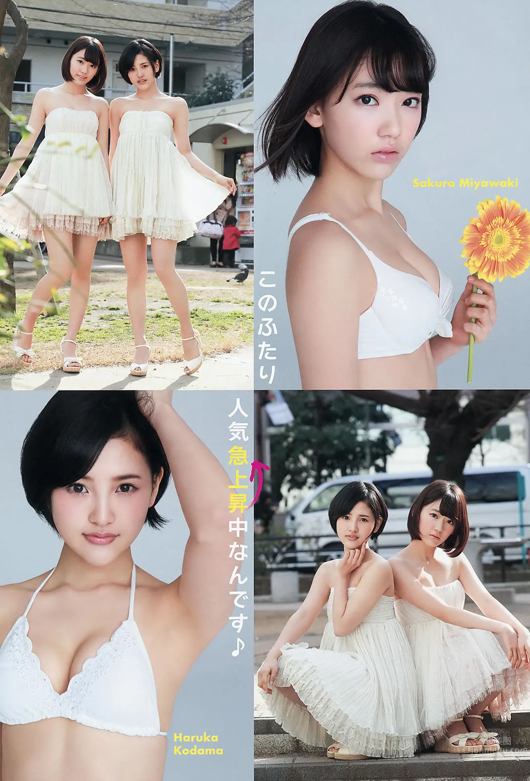 [Young Animal] 2015 No.10 11 宮脇咲良 兒玉遙 朝長美桜 松岡菜摘 穴井千尋 おのののか 羽宮千皓 6