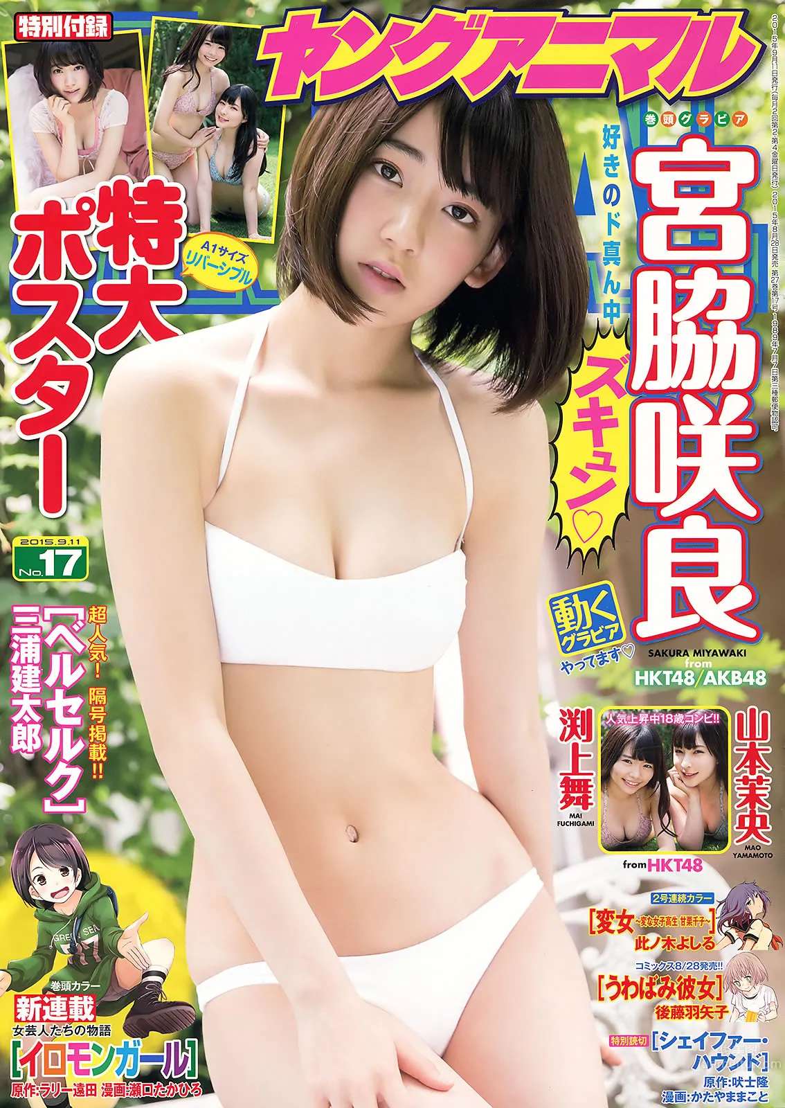 [Young Animal] 2015 No.16-17 兒玉遥 朝長美桜 宮脇咲良 山本茉央 渕上舞_0