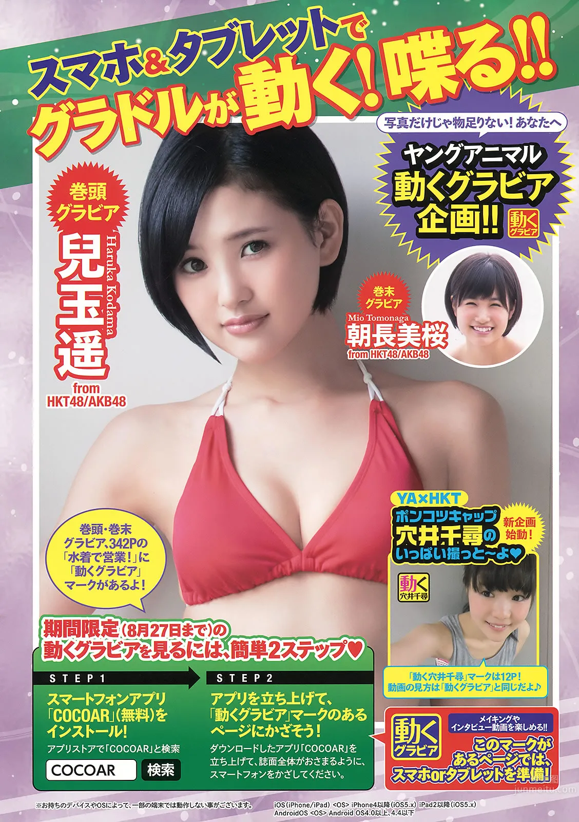 [Young Animal] 2015 No.16-17 兒玉遥 朝長美桜 宮脇咲良 山本茉央 渕上舞_3
