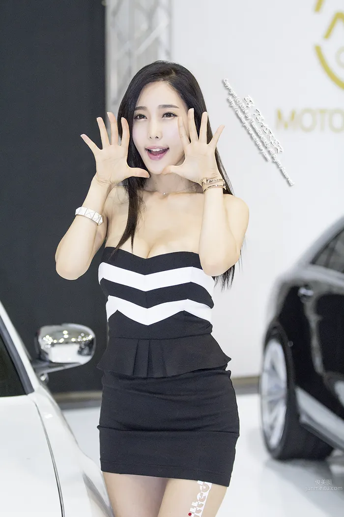 艾敏英(Im Min-Young)- 2015韓國車展模特 3
