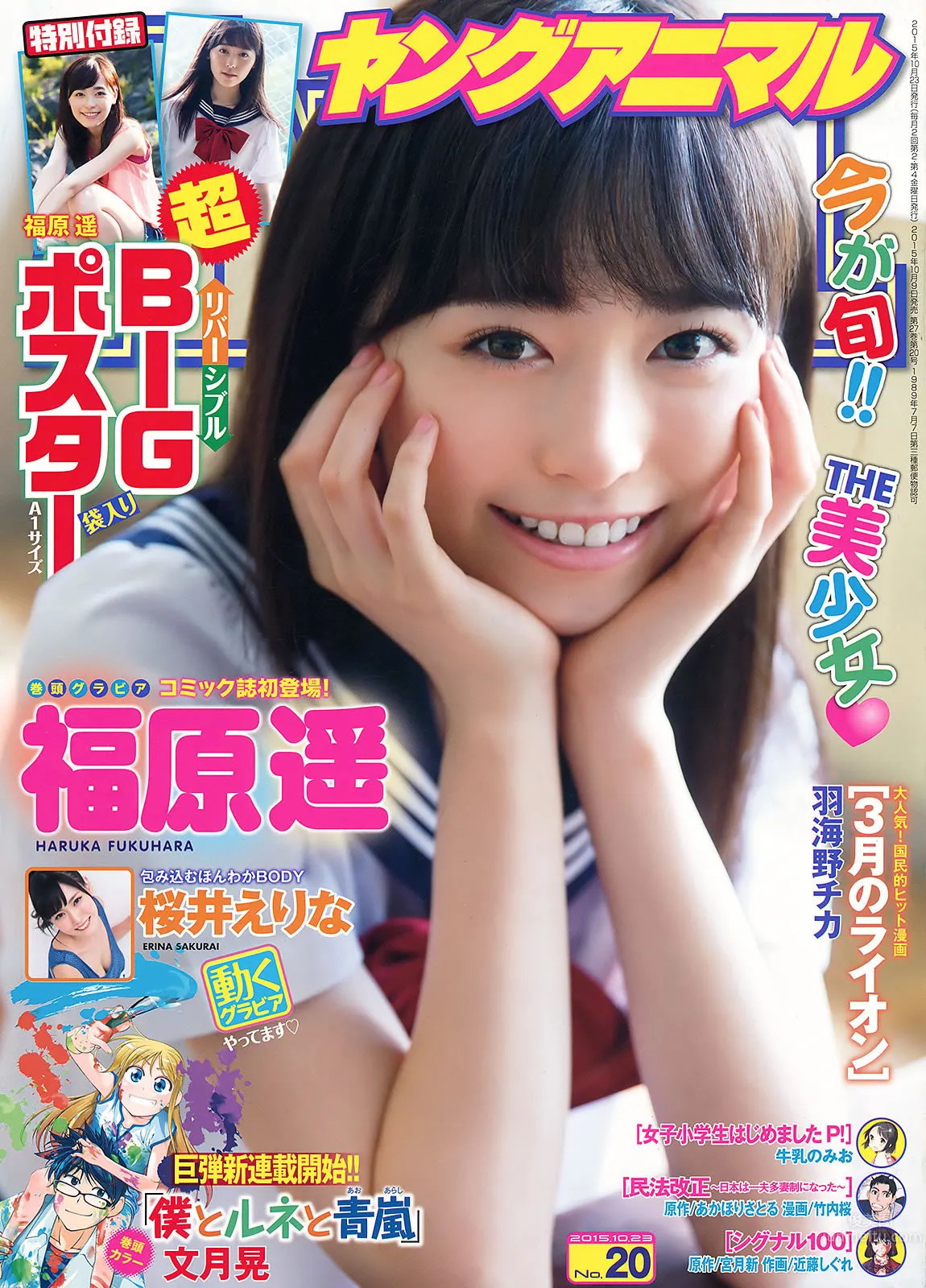 [Young Animal] 2015 No.20-21 福原遙 桜井えりな 兒玉遙 神志那結衣 HKT48 [45P] 2