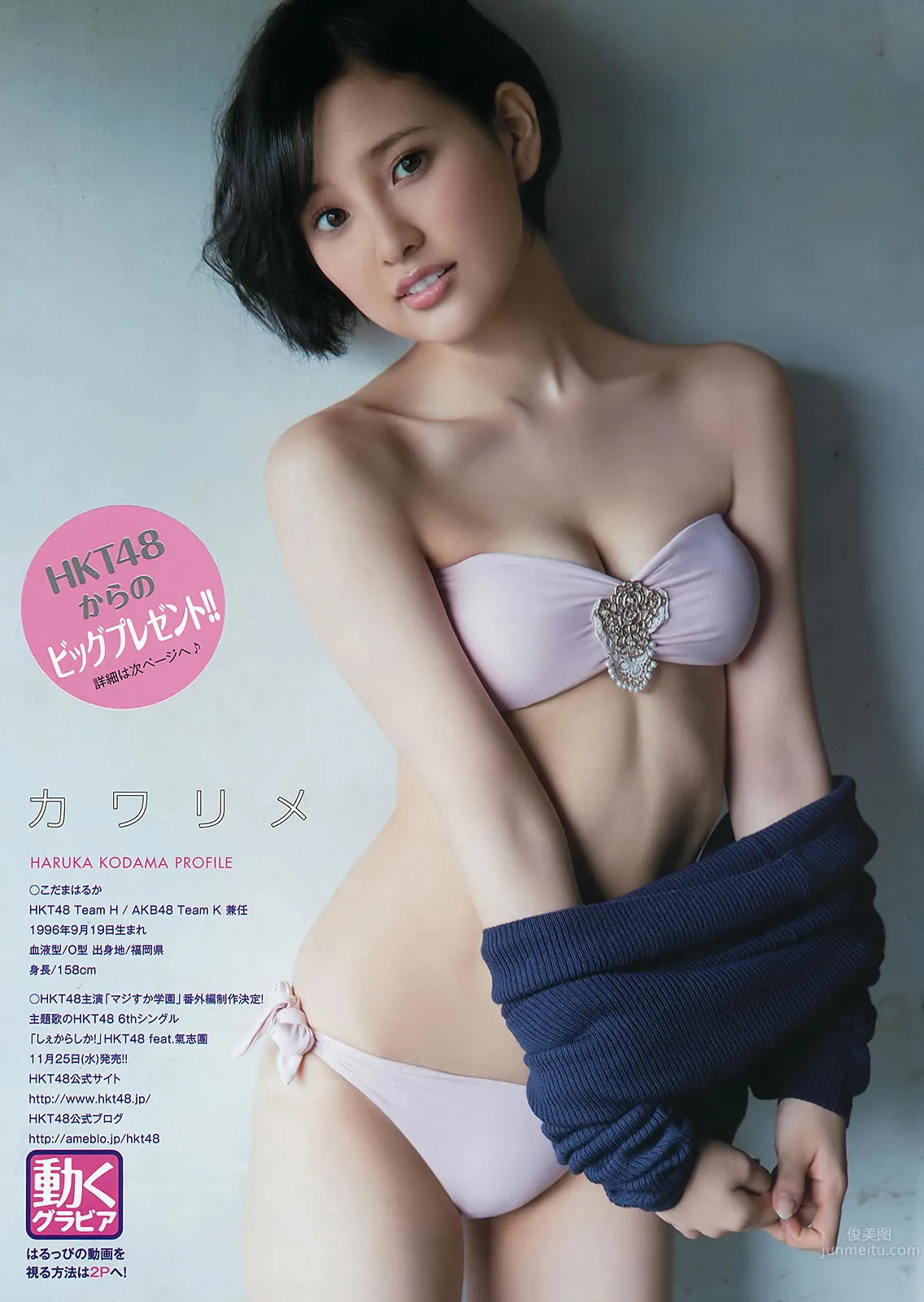 [Young Animal] 2015 No.20-21 福原遙 桜井えりな 兒玉遙 神志那結衣 HKT48 [45P] 20