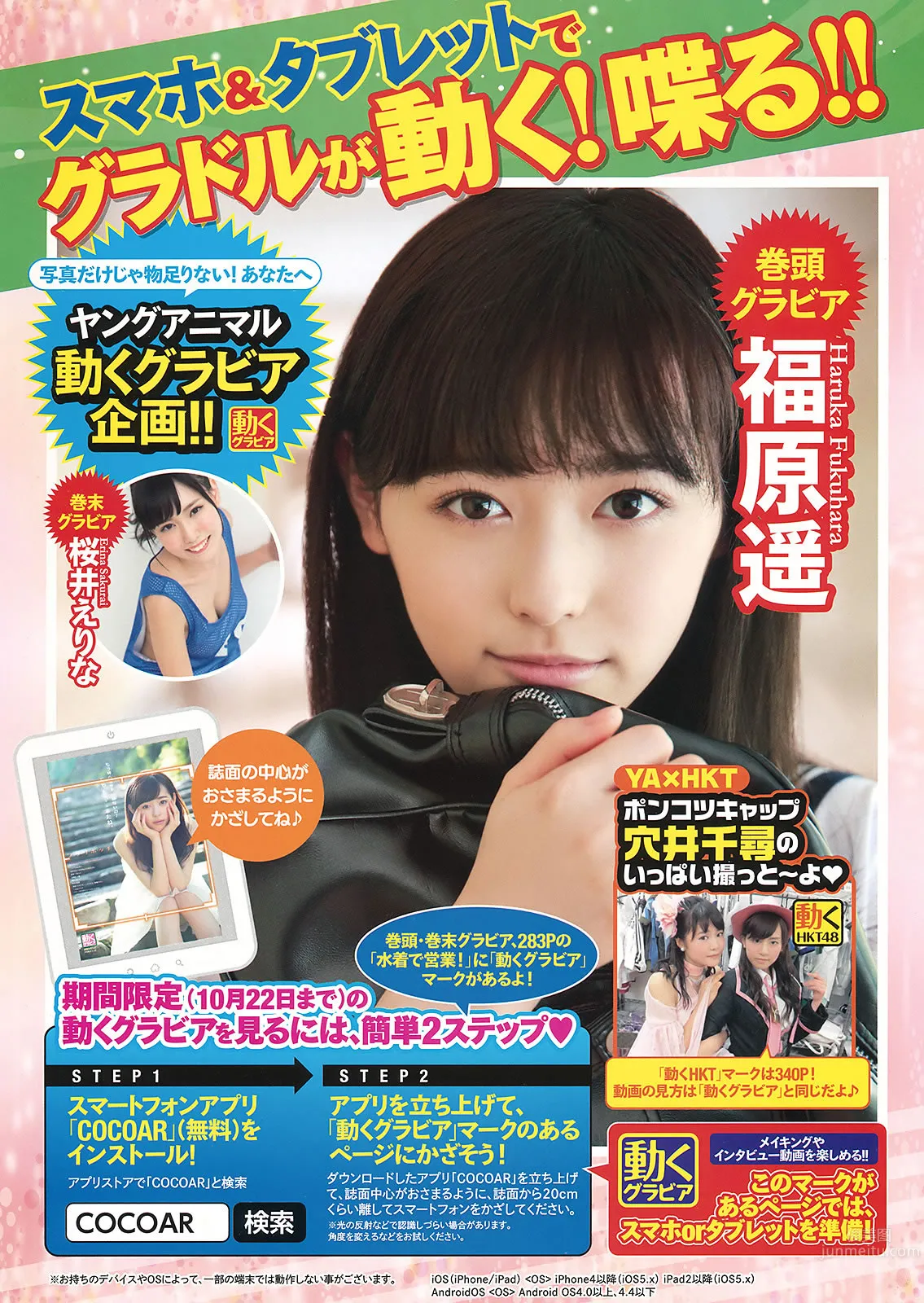 [Young Animal] 2015 No.20-21 福原遙 桜井えりな 兒玉遙 神志那結衣 HKT48 [45P] 4
