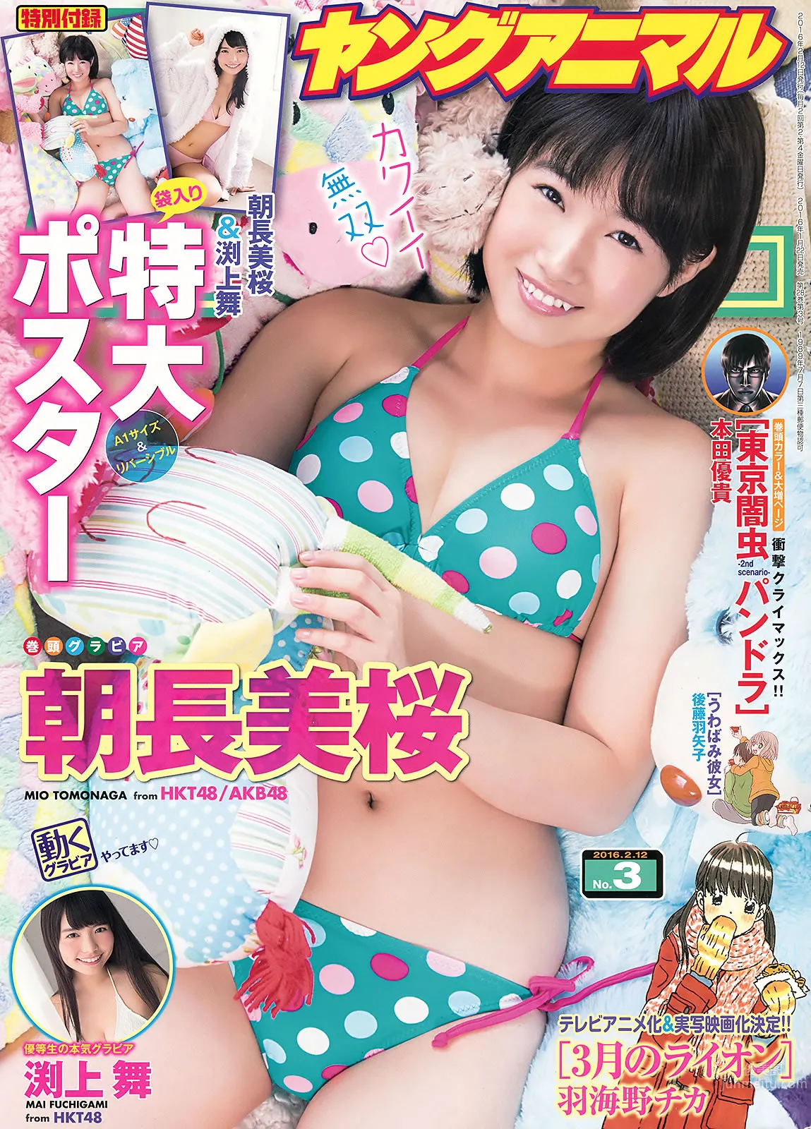 [Young Animal] 2016 No.02 03 宮脇咲良 本村碧唯 朝長美桜 渕上舞_0