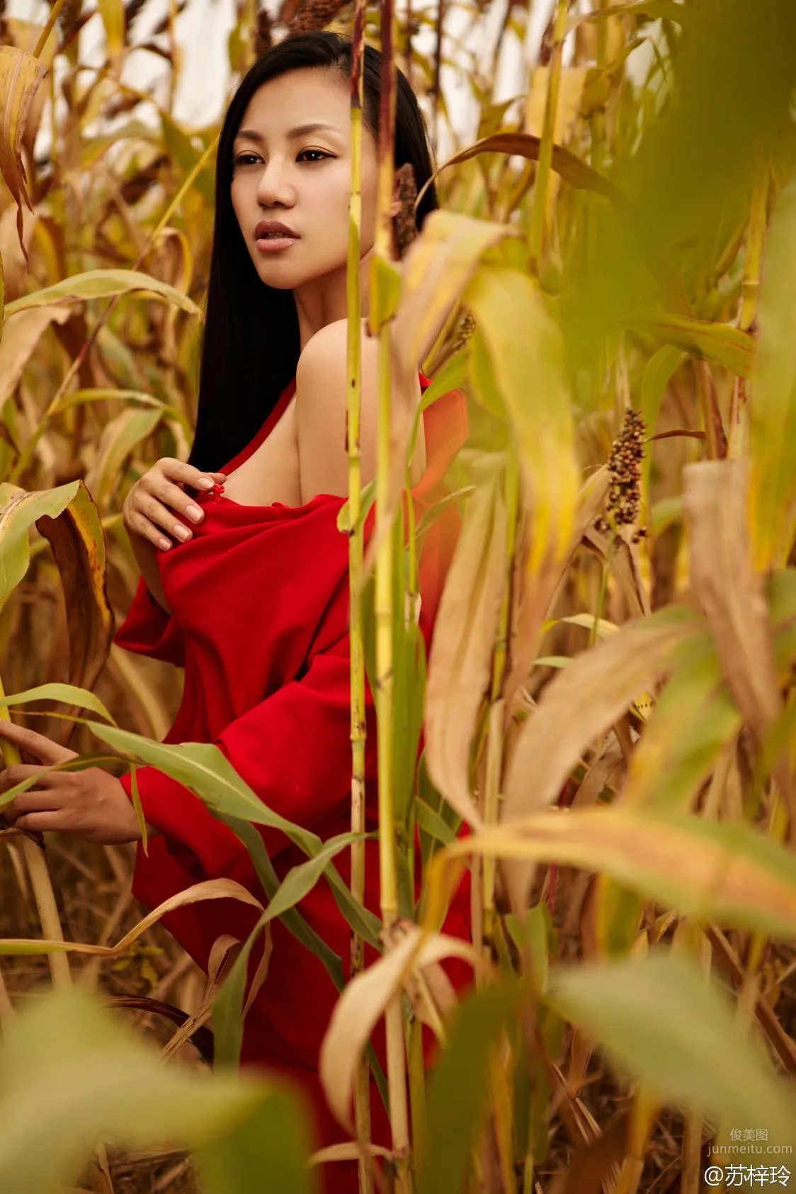 苏梓玲- 概念版静态写真《丰乳肥臀》_34