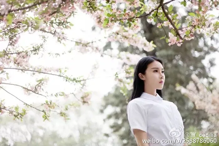 萱萱Cecilia- 微博私房寫真 39
