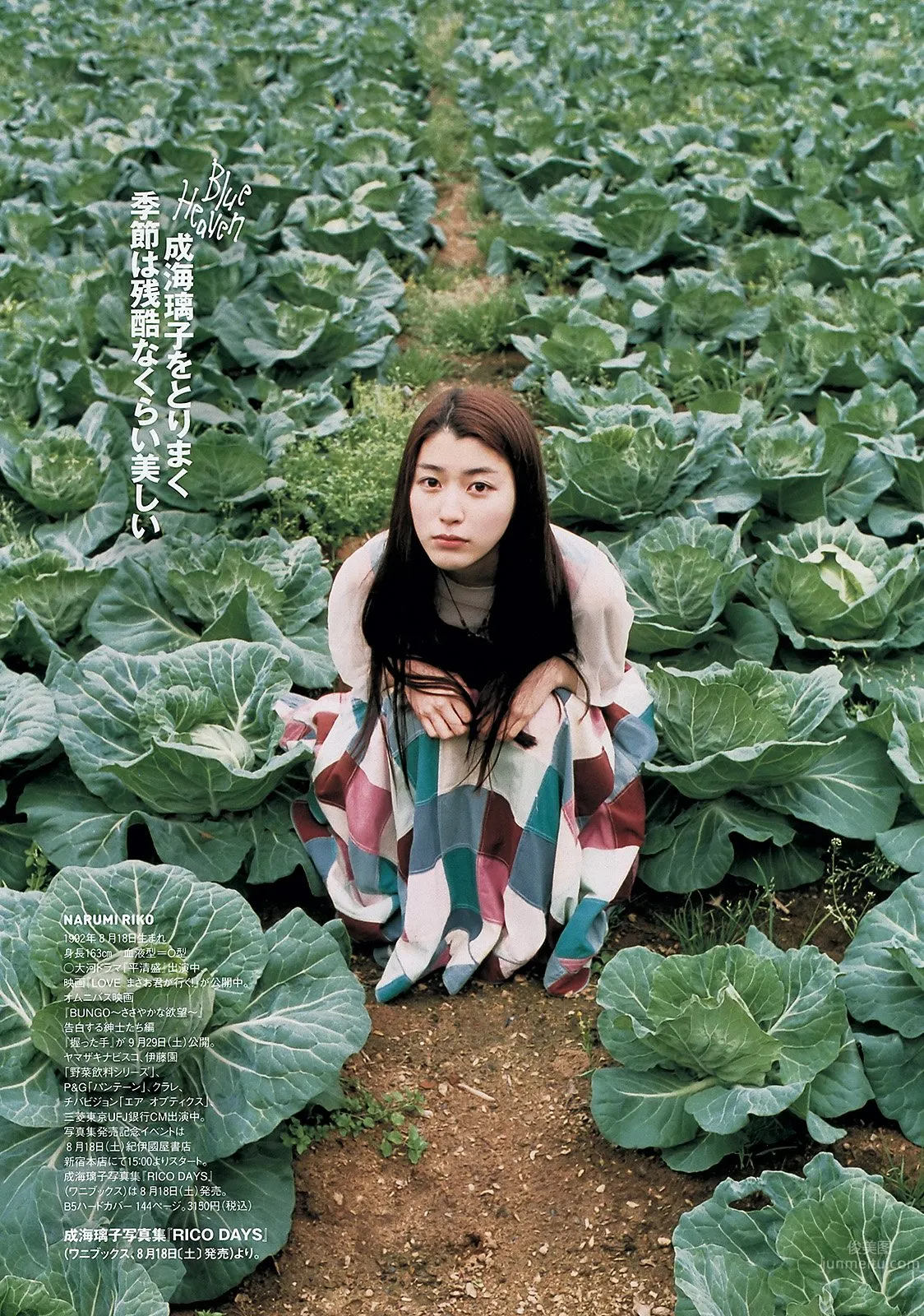成海璃子- 清純派兼實力派的女優 14
