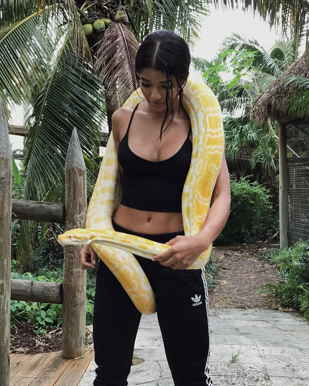 Yovanna Ventura- 健康膚色健美線條 25