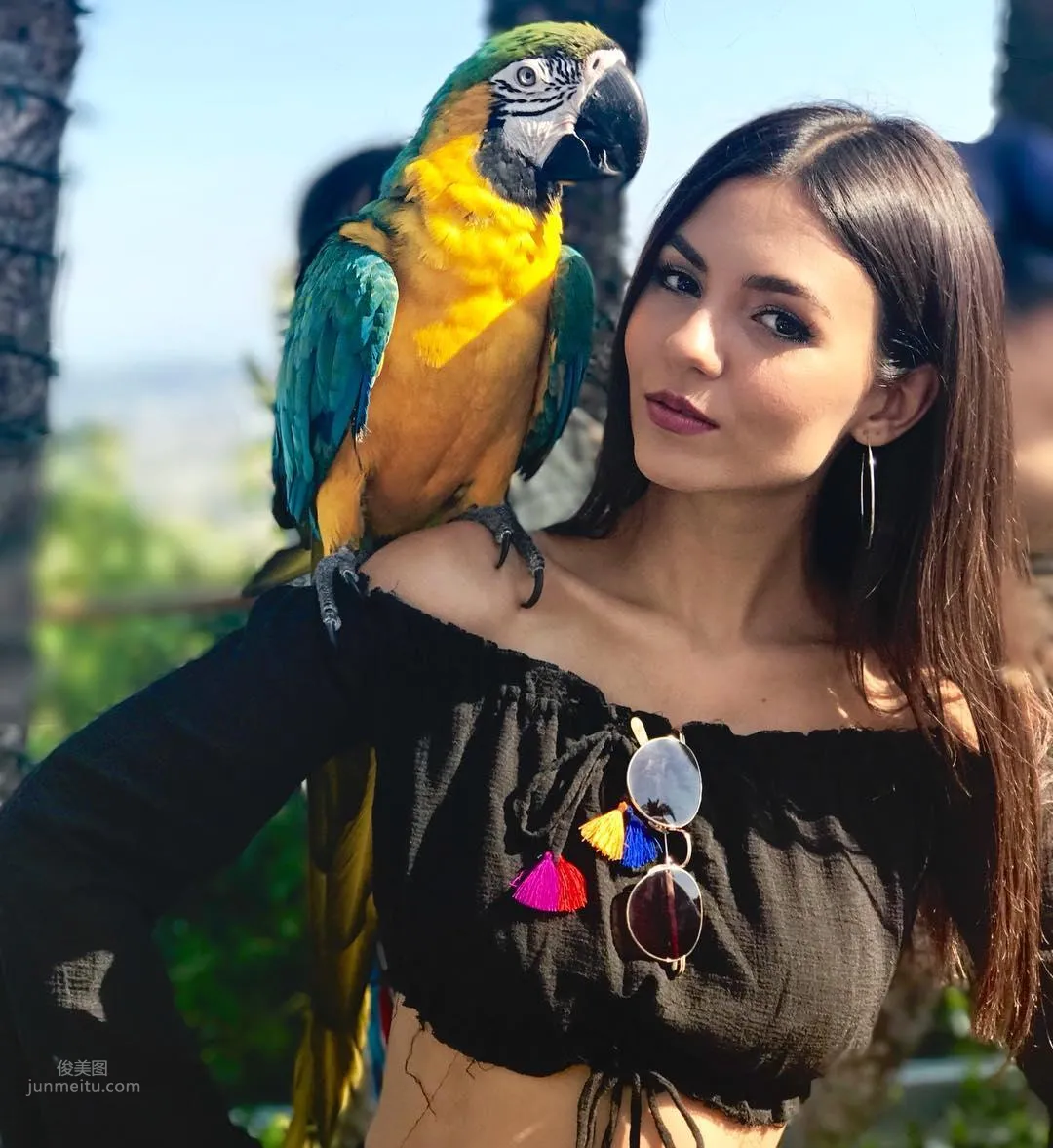 Victoria Justice- 顔值即「正義」的美女歌手 4