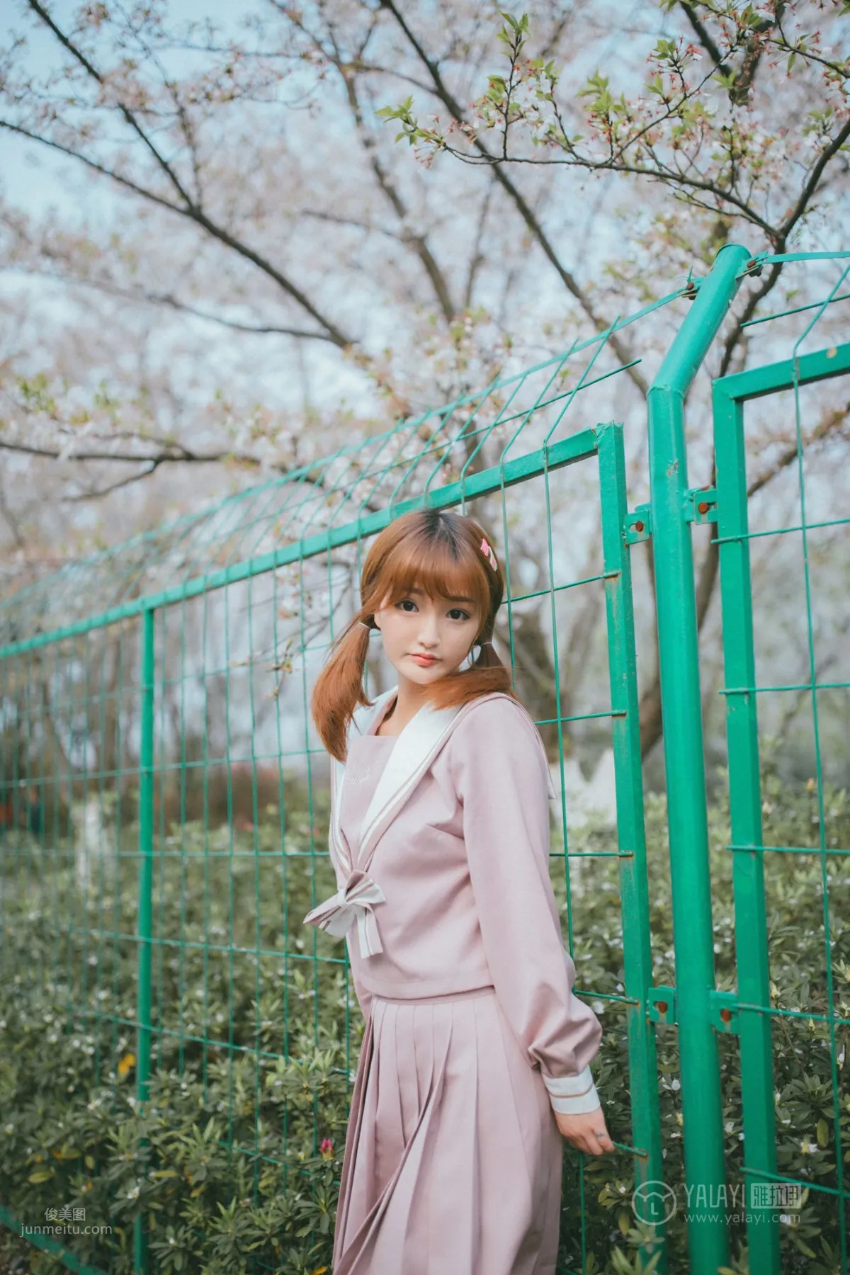 [YALAYI雅拉伊] 2019.04.15 No.246 櫻花櫻花想見你 團團 33