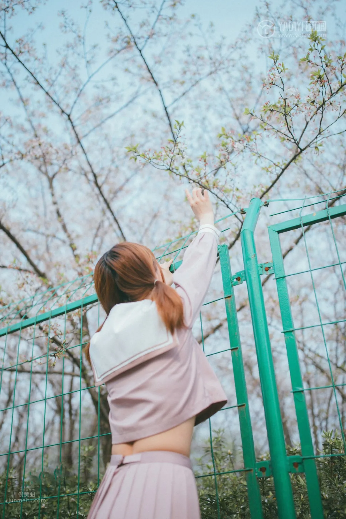 [YALAYI雅拉伊] 2019.04.15 No.246 櫻花櫻花想見你 團團 30