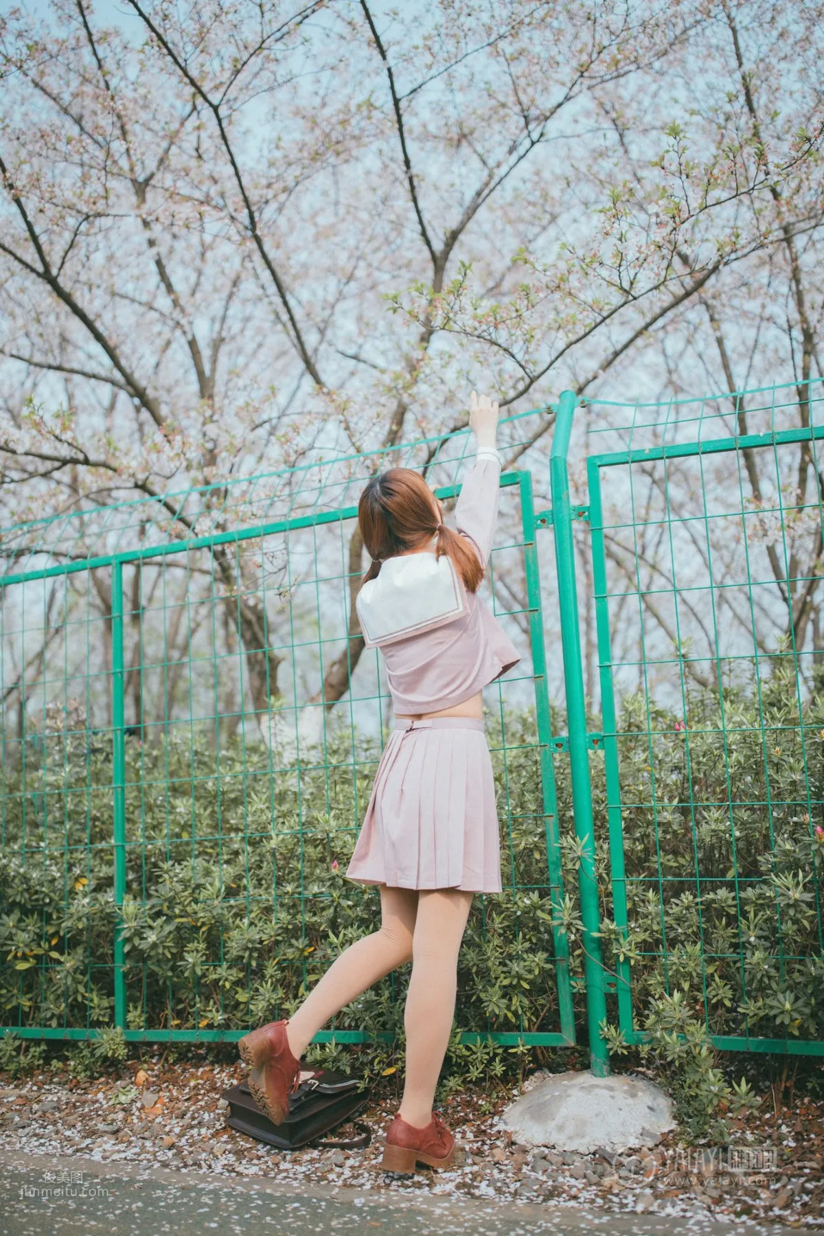 [YALAYI雅拉伊] 2019.04.15 No.246 櫻花櫻花想見你 團團 29