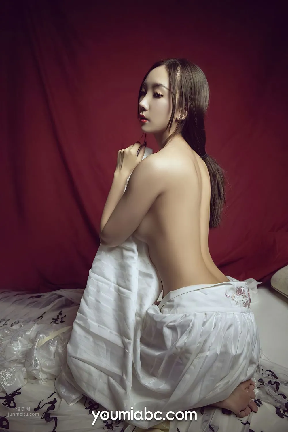 骊歌行 丰臣羽立_21