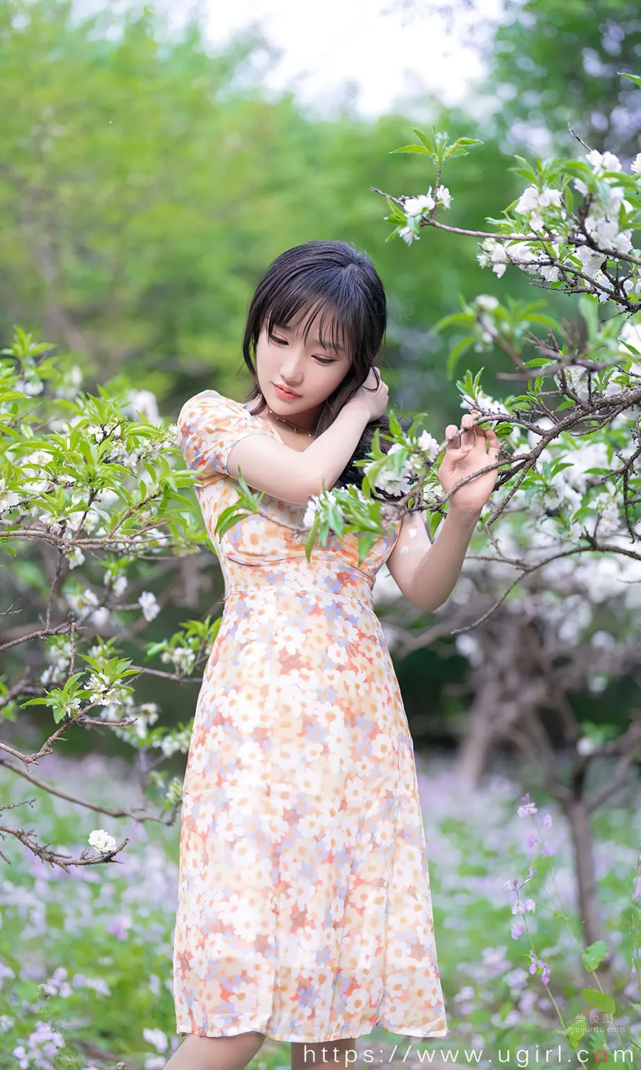 西门小玉花开荼蘼_7