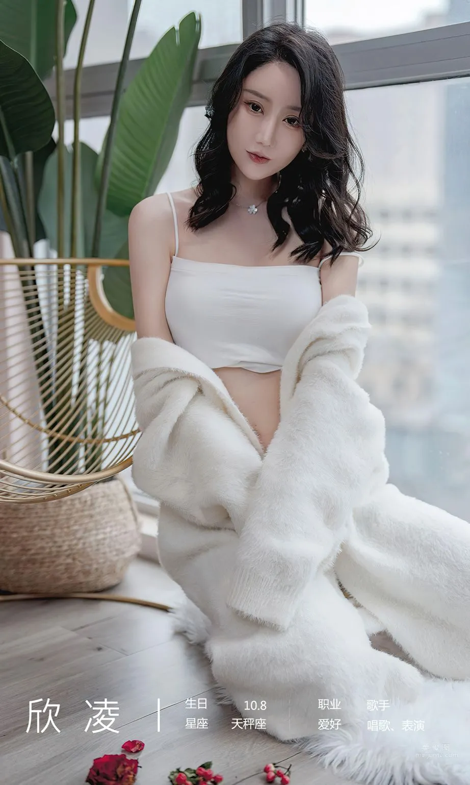 欣淩初味 入口即化 回味無窮 4