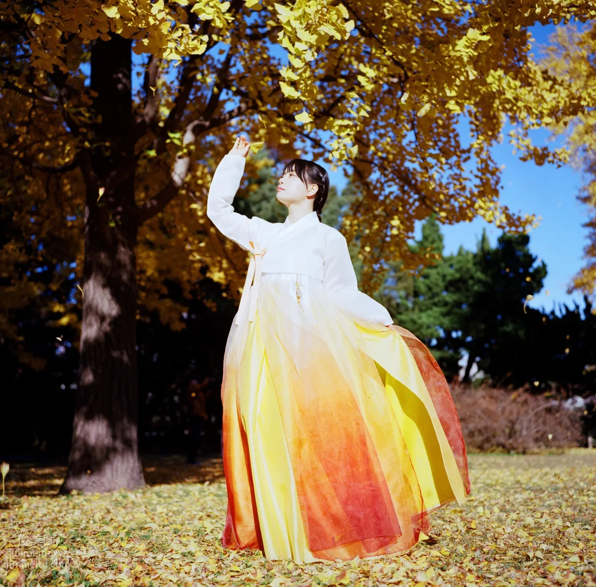 322.DJAWA Photo – ZziZzi (모찌) Vol.14 - Chuseok[133P] 120
