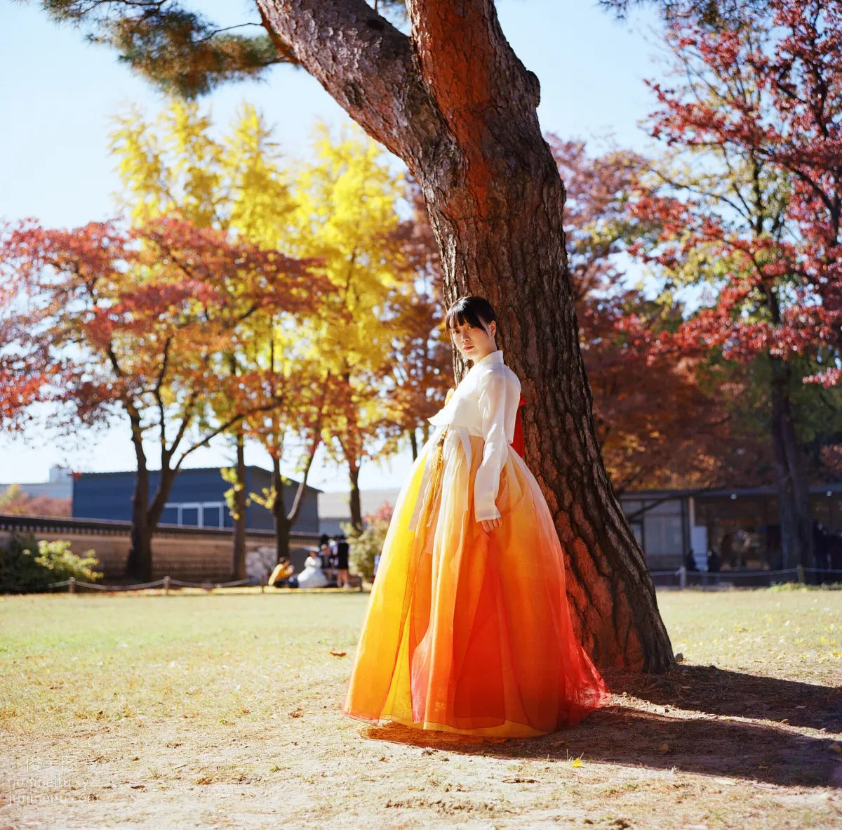 322.DJAWA Photo – ZziZzi (모찌) Vol.14 - Chuseok[133P] 129