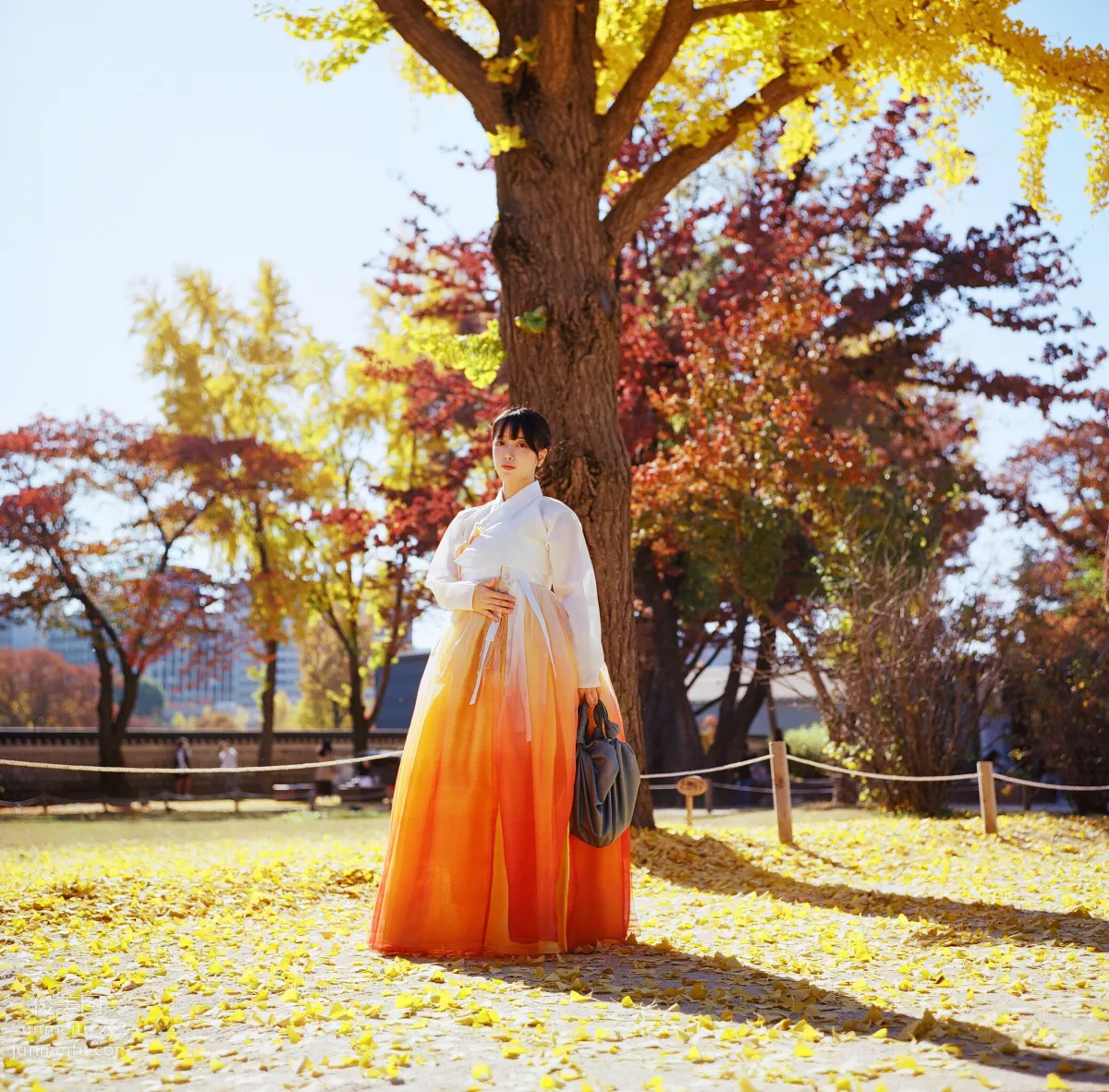 322.DJAWA Photo – ZziZzi (모찌) Vol.14 - Chuseok[133P] 131