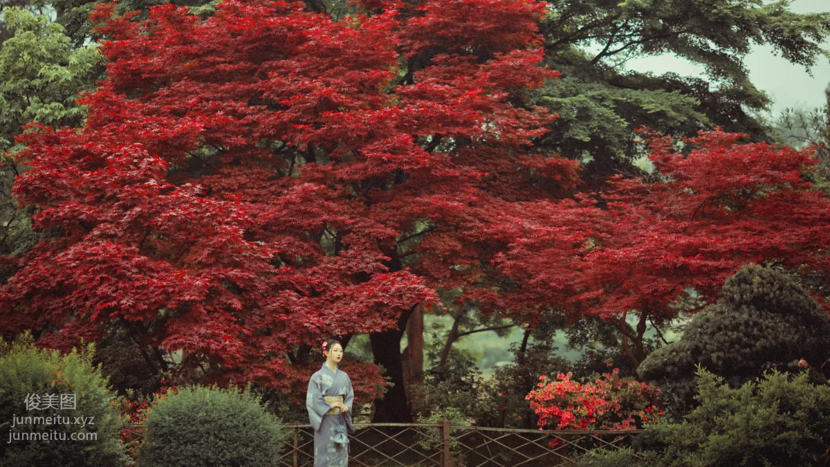 [YITUYU藝圖語]2021.09.02 紅葉深處 沒煩惱 2
