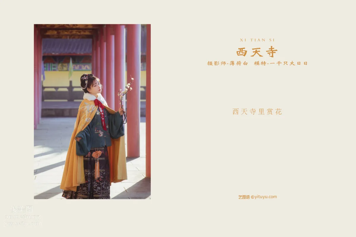 [YITUYU藝圖語]2021.10.15 西天寺 一千隻大日日 1