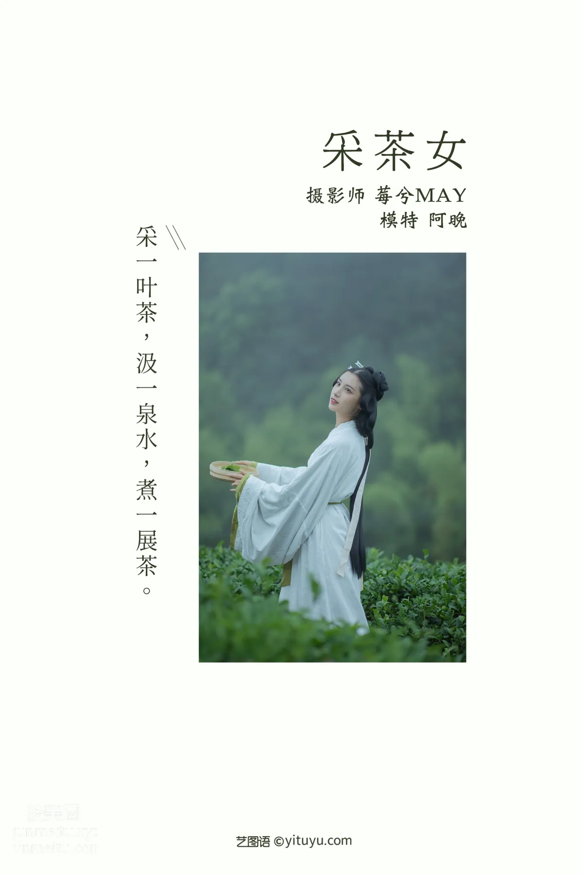 [YITUYU藝圖語]2021.12.02 采茶女 十八重川 1