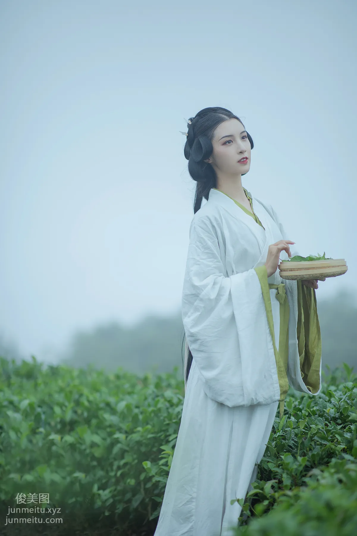 [YITUYU藝圖語]2021.12.02 采茶女 十八重川 16