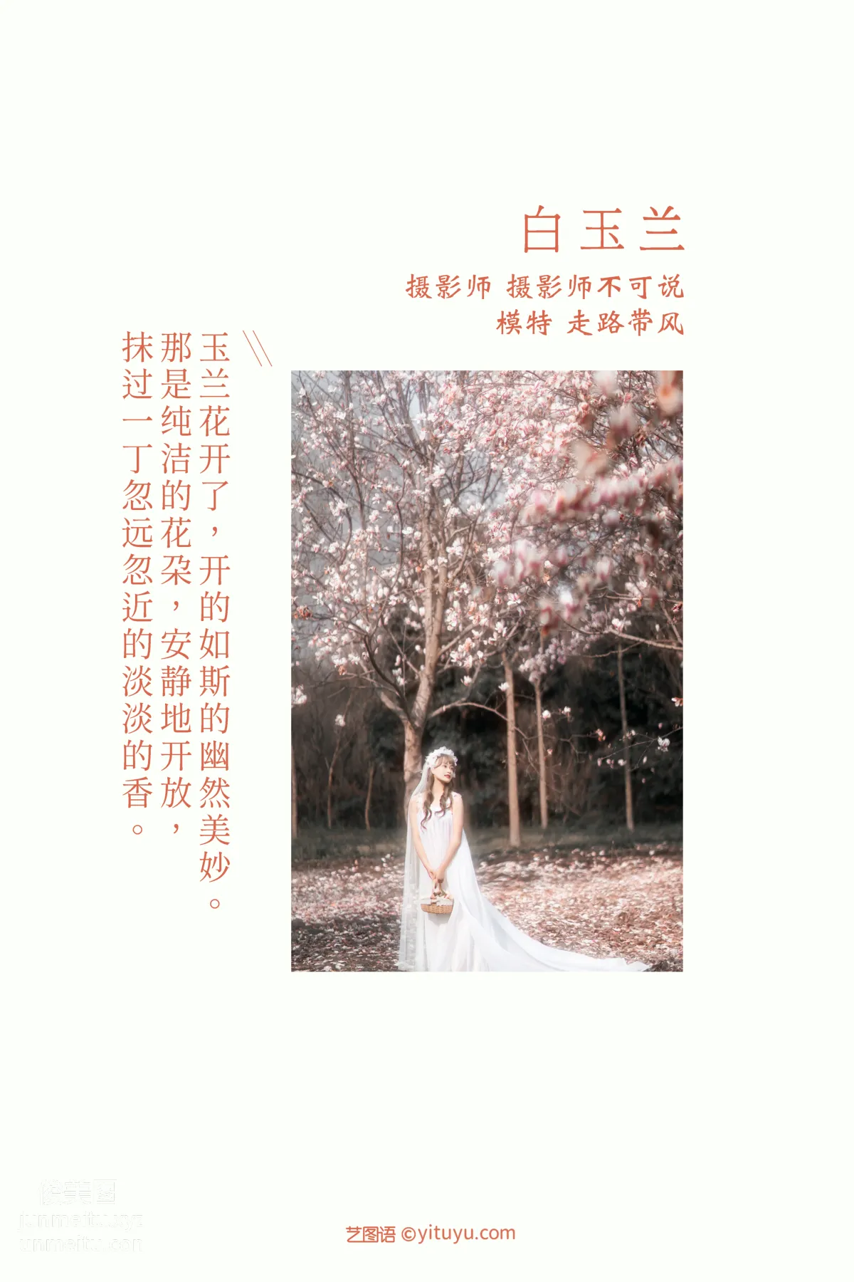 [YITUYU藝圖語]2021.12.14 白玉蘭 走路帶風 1