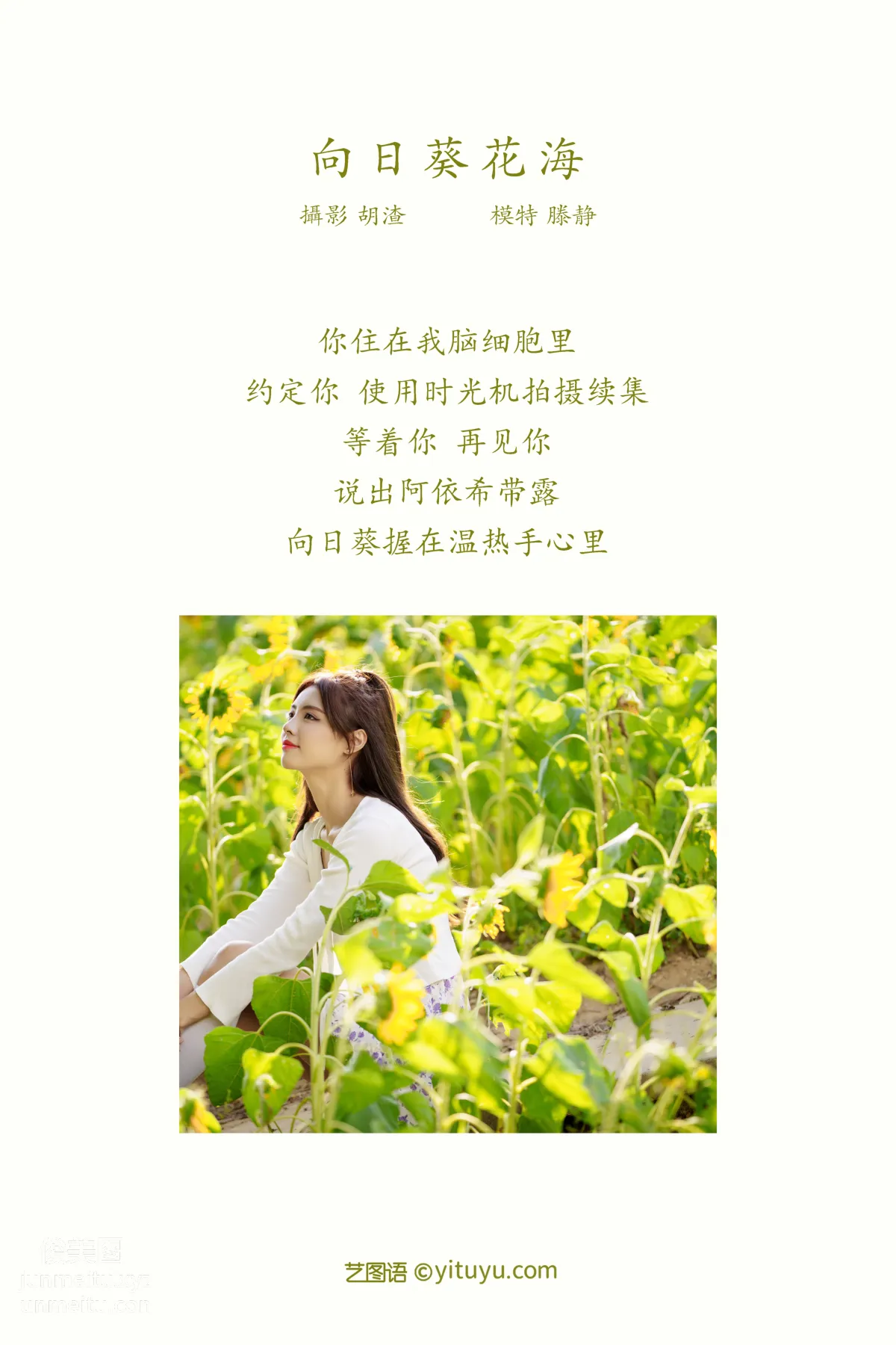 [YITUYU藝圖語]2021.12.30 向日葵花海 滕靜 1
