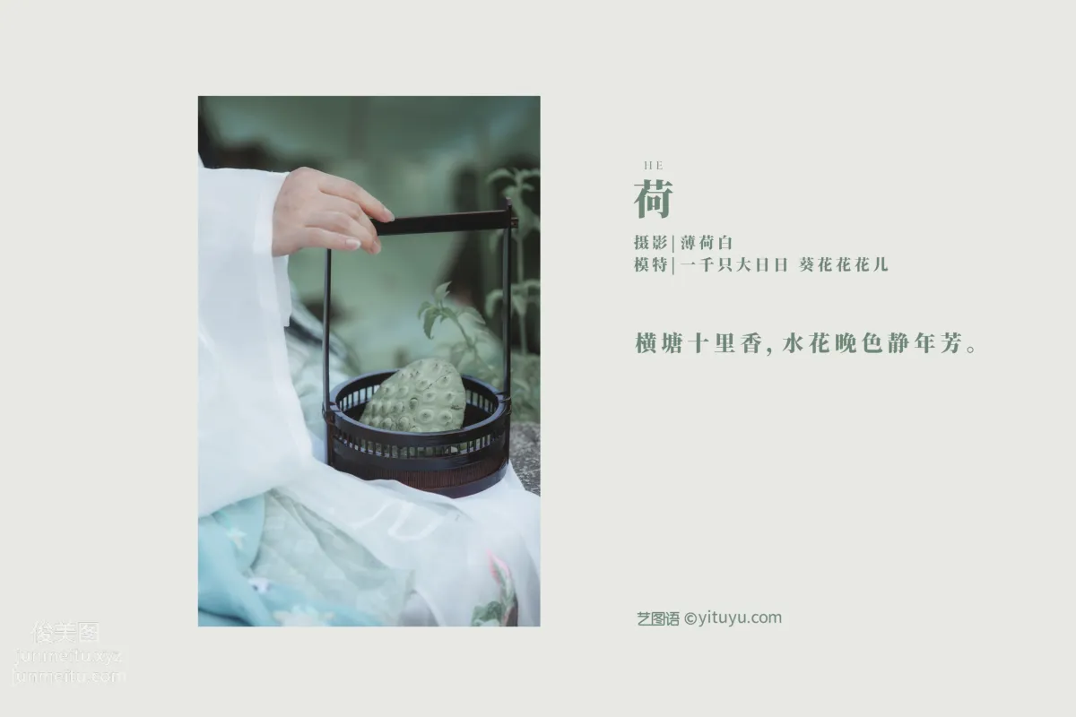 [YITUYU藝圖語]2022.01.03 荷 葵花花花兒 1