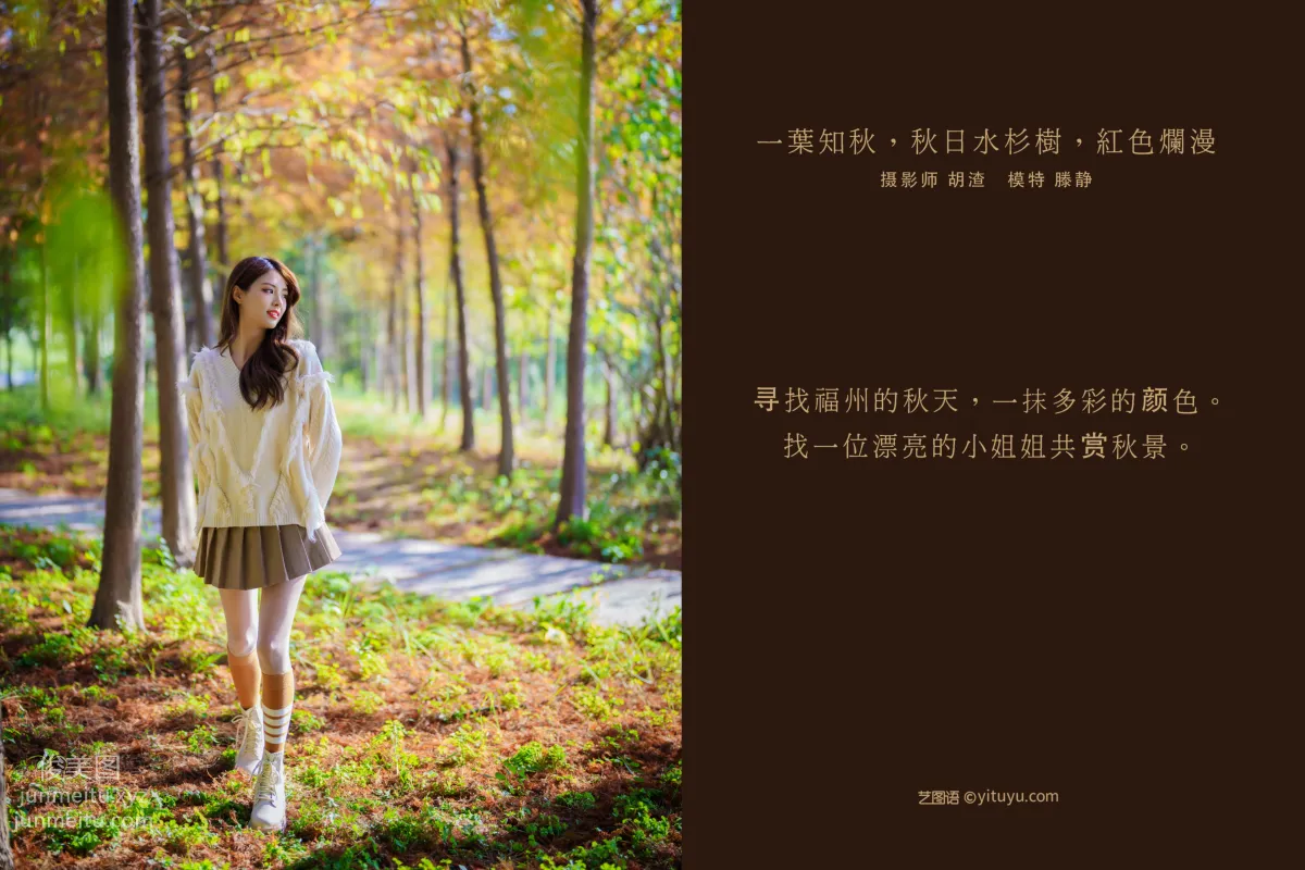 [YITUYU藝圖語]2022.02.03 一葉知秋，秋日水杉樹，紅色爛漫 滕靜 1