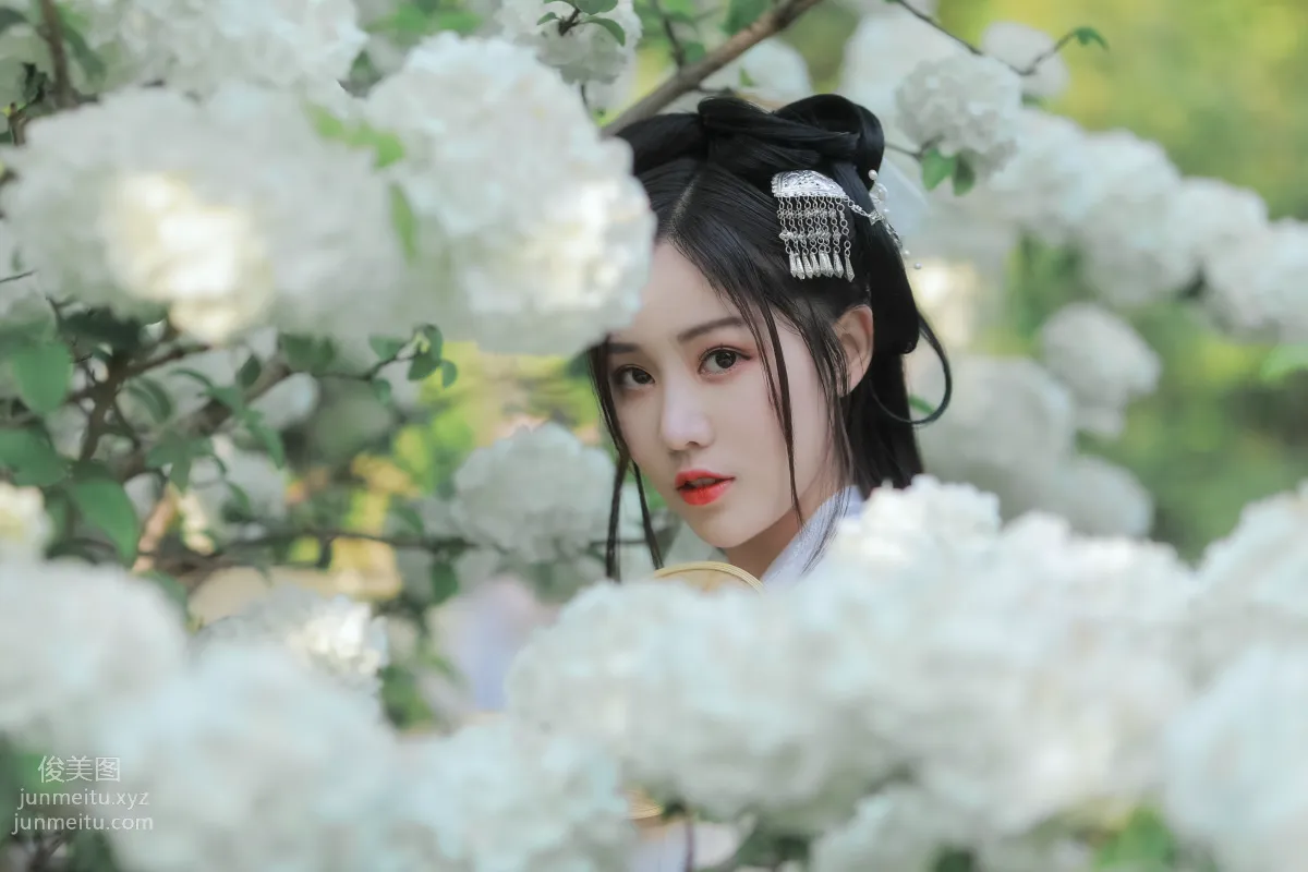 [藝圖語] 2022.05.20 紫荊花開 若希icy 6