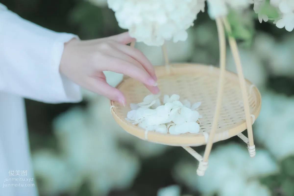 [藝圖語] 2022.05.20 紫荊花開 若希icy 10