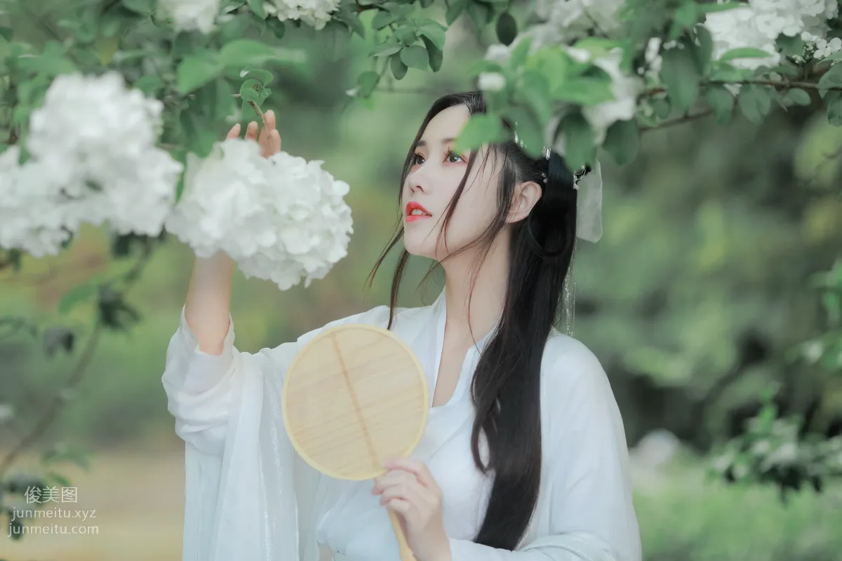 [藝圖語] 2022.05.20 紫荊花開 若希icy 11
