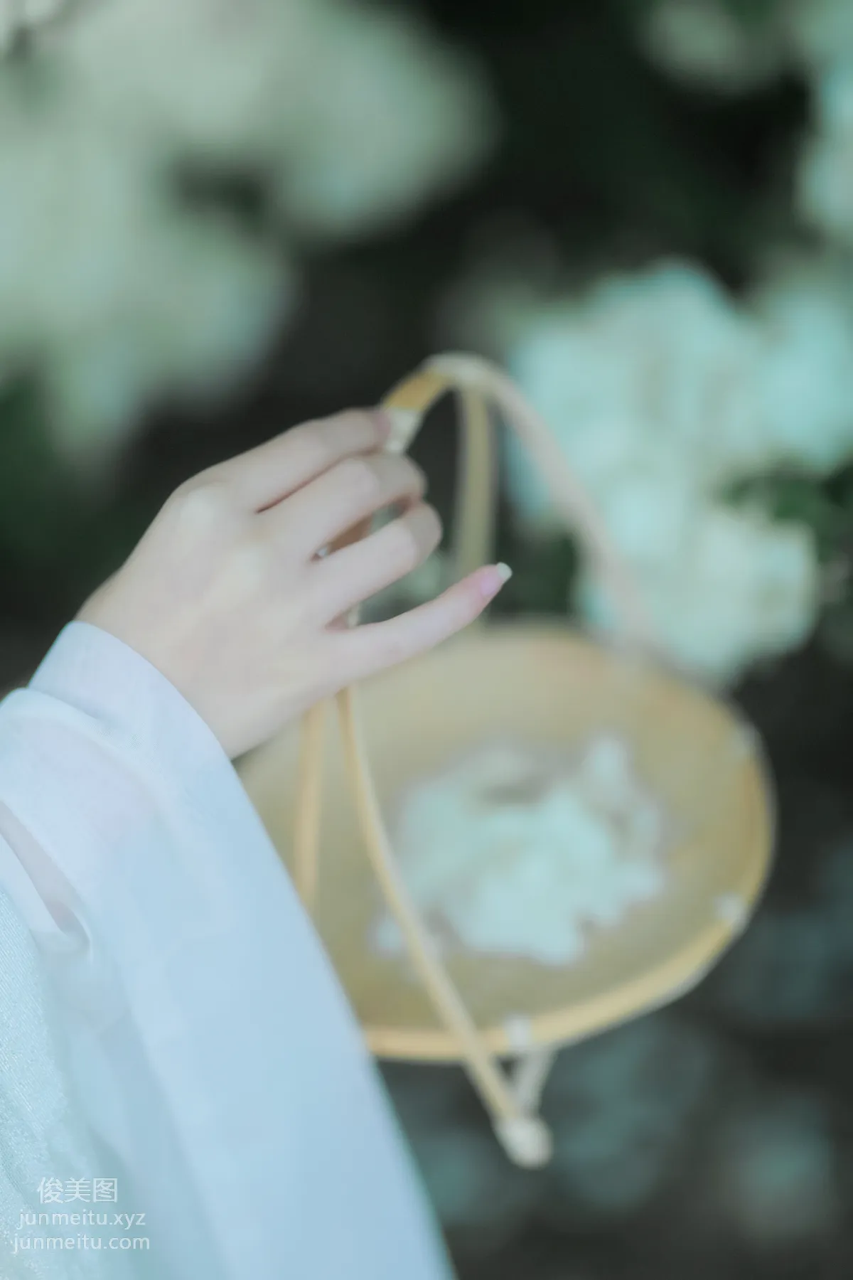 [藝圖語] 2022.05.20 紫荊花開 若希icy 15