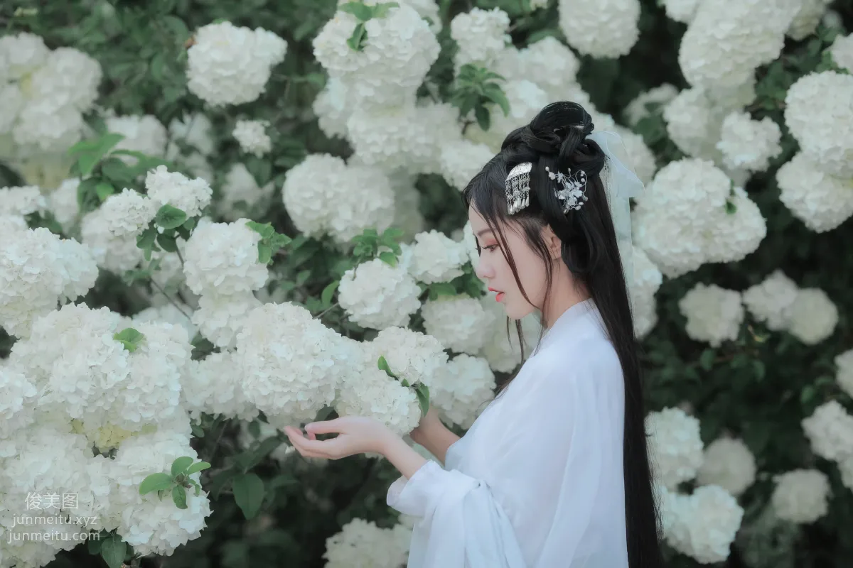 [藝圖語] 2022.05.20 紫荊花開 若希icy 17