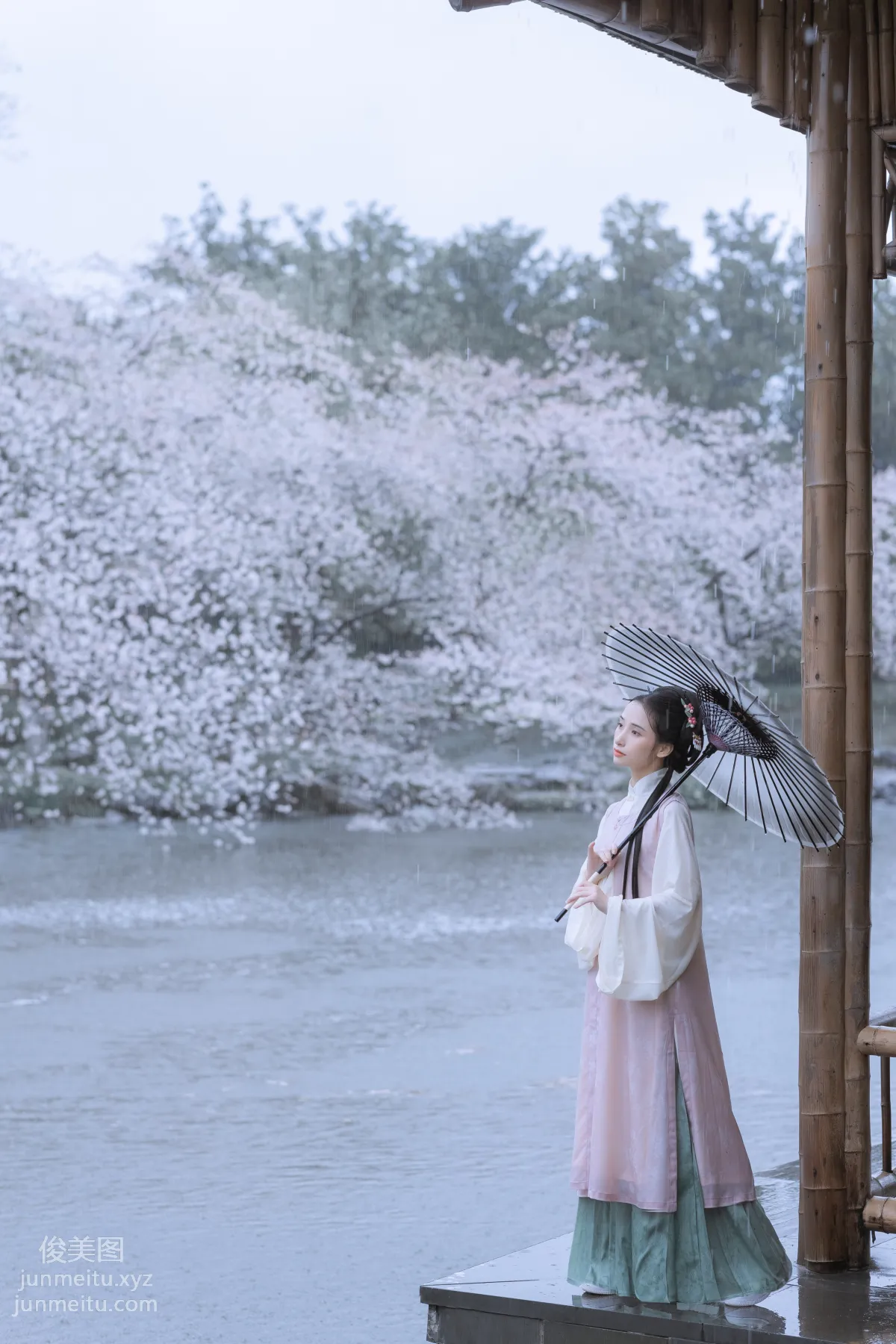 [藝圖語] 2022.05.25 雨櫻花 眸小妖 7