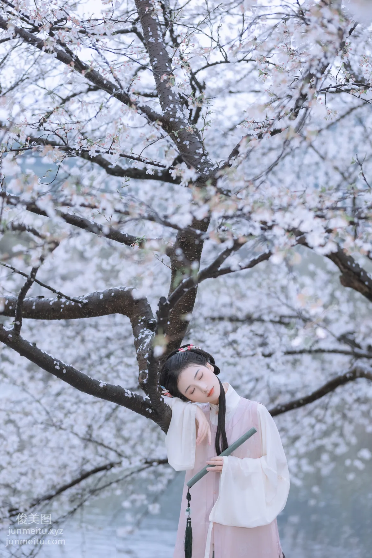 [藝圖語] 2022.05.25 雨櫻花 眸小妖 40