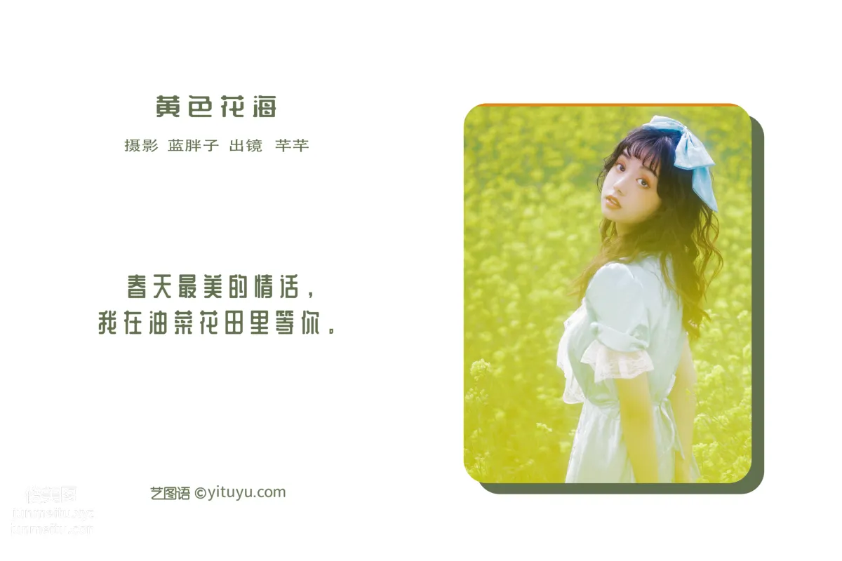 [藝圖語] 2022.05.26 黃色花海 芊芊 2